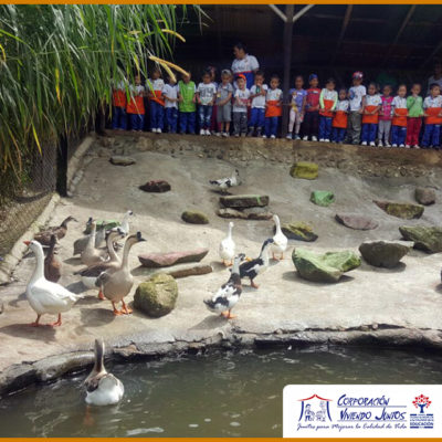 Visita el Zoo (4)