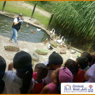 Visita el Zoo (6)